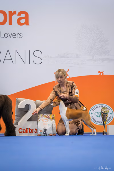 INTERCANIS Brno – DOROST