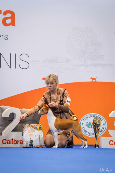 INTERCANIS Brno – DOROST