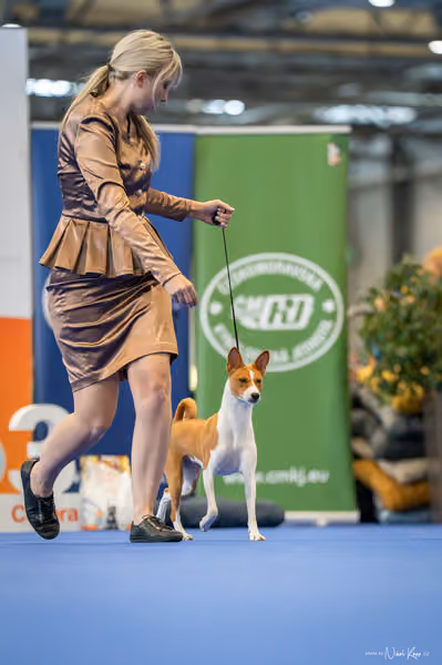 INTERCANIS Brno – DOROST