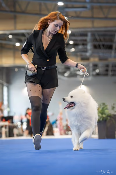 INTERCANIS Brno – DOROST