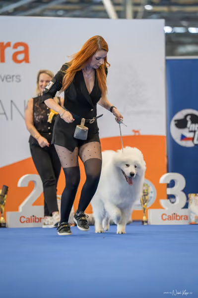 INTERCANIS Brno – DOROST