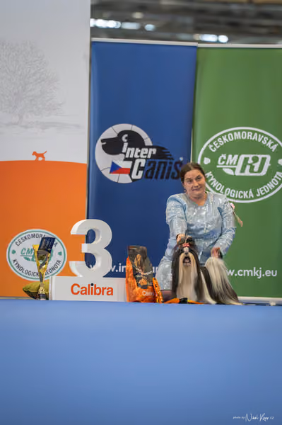 INTERCANIS Brno – Veterán