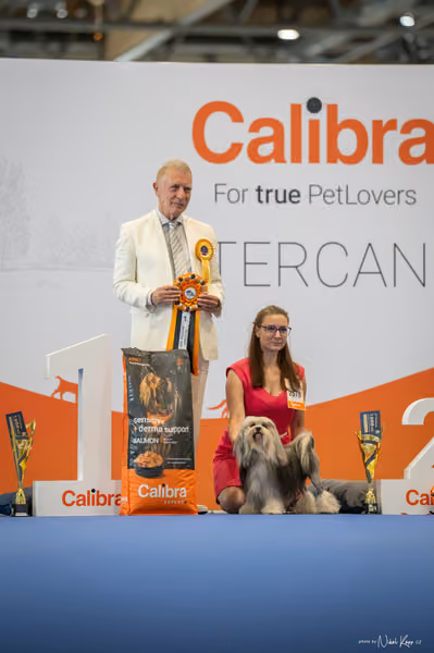 INTERCANIS Brno – Veterán