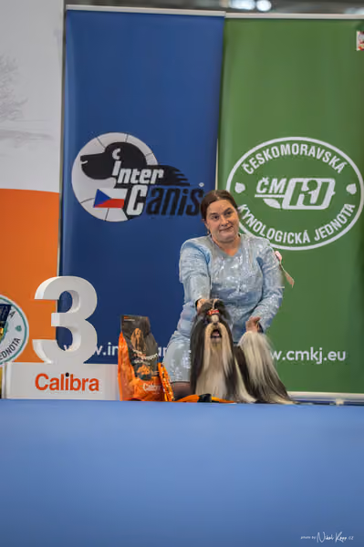 INTERCANIS Brno – Veterán