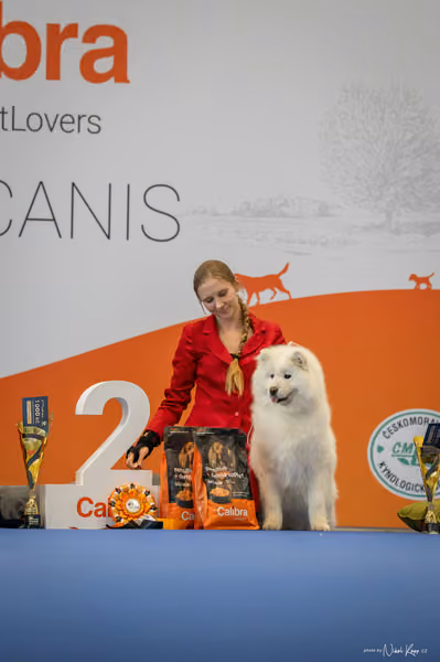 INTERCANIS Brno – Veterán