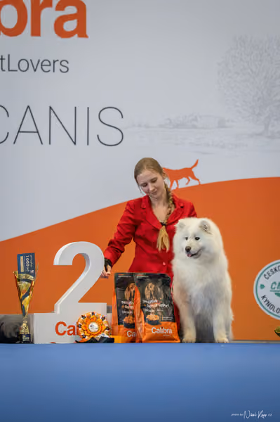 INTERCANIS Brno – Veterán