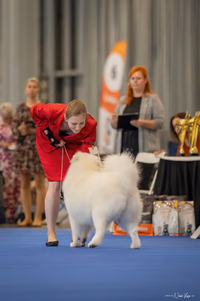INTERCANIS Brno – Veterán