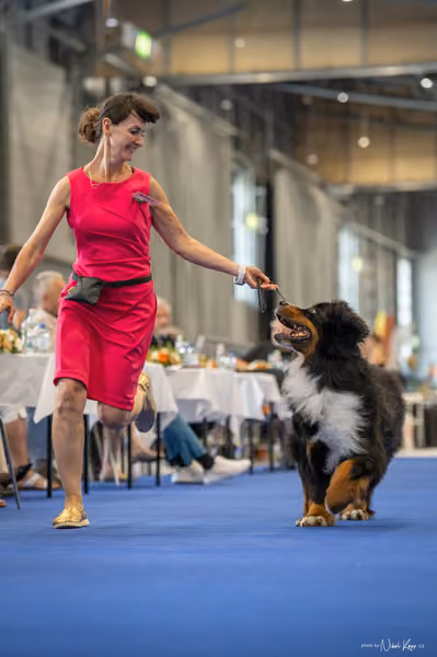 INTERCANIS Brno – Veterán