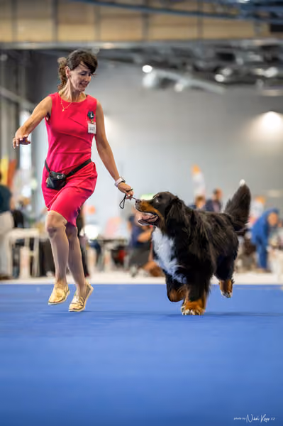 INTERCANIS Brno – Veterán