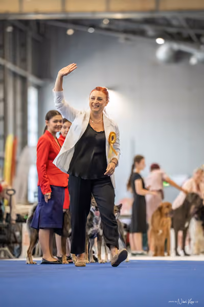 INTERCANIS Brno – CHS