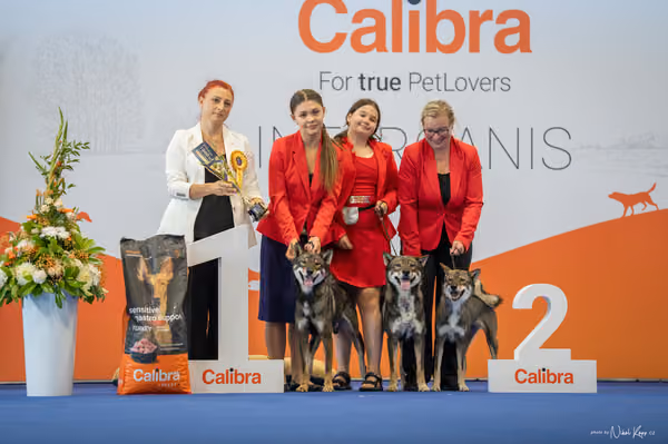 INTERCANIS Brno – CHS