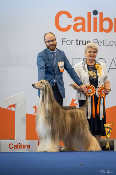 INTERCANIS Brno – Čestná