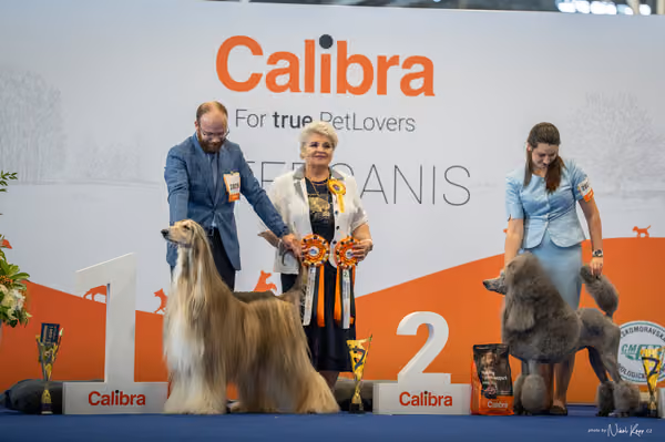 INTERCANIS Brno – Čestná
