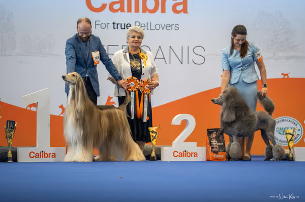 INTERCANIS Brno – Čestná