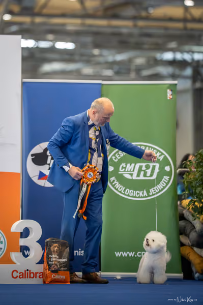 INTERCANIS Brno – Čestná