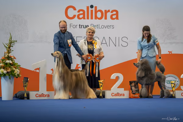 INTERCANIS Brno – Čestná