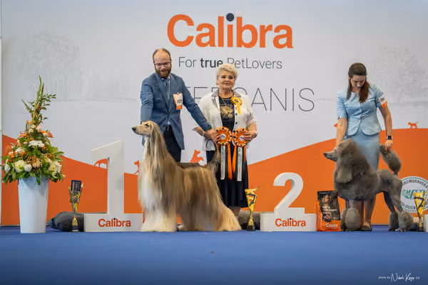 INTERCANIS Brno – Čestná
