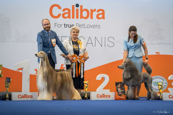INTERCANIS Brno – Čestná