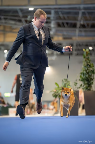 INTERCANIS Brno – Čestná