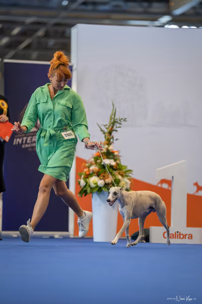 INTERCANIS Brno – Čestná