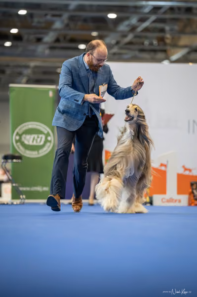 INTERCANIS Brno – Čestná