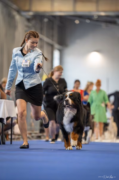 INTERCANIS Brno – Čestná
