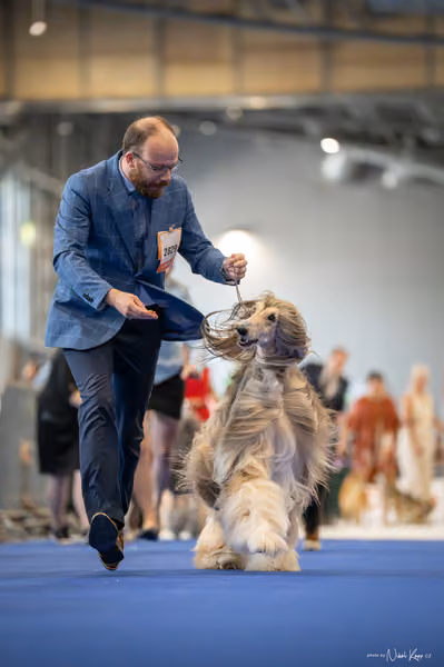 INTERCANIS Brno – Čestná