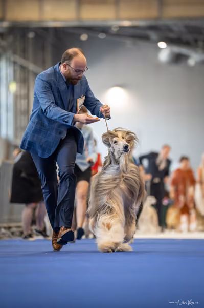 INTERCANIS Brno – Čestná