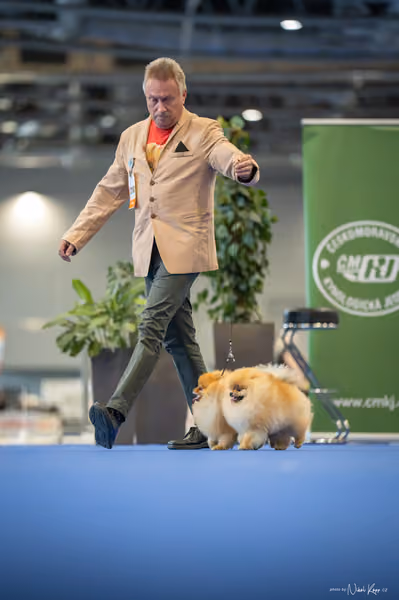 INTERCANIS Brno – PÁRY