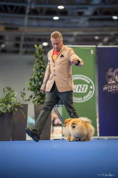 INTERCANIS Brno – PÁRY