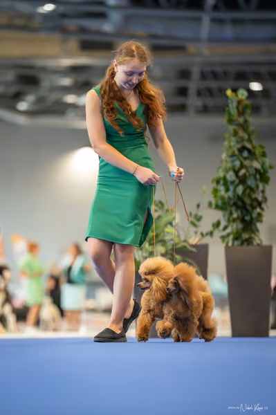 INTERCANIS Brno – PÁRY