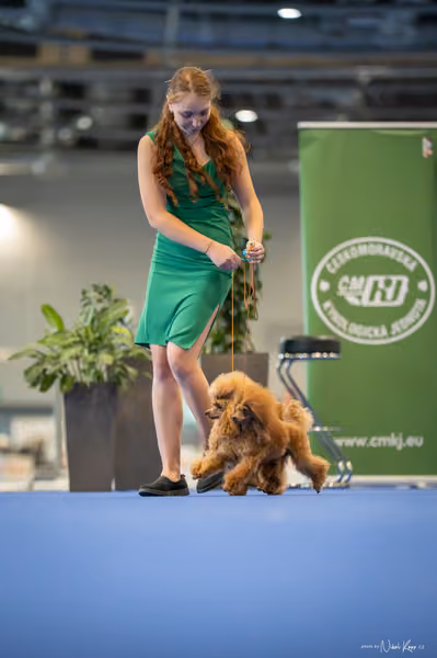 INTERCANIS Brno – PÁRY