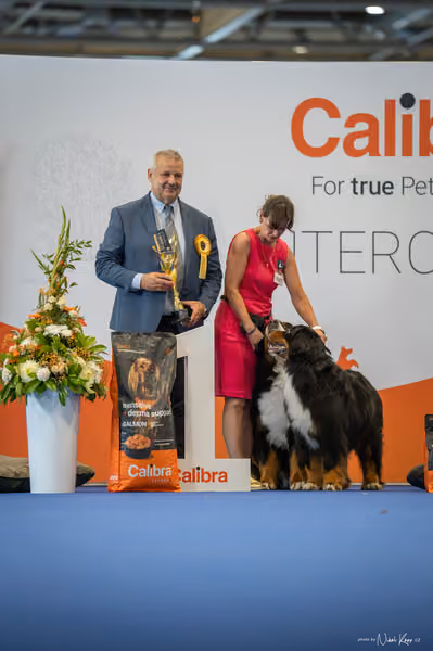INTERCANIS Brno – PÁRY
