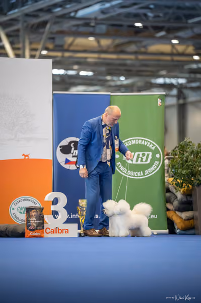 INTERCANIS Brno – PÁRY