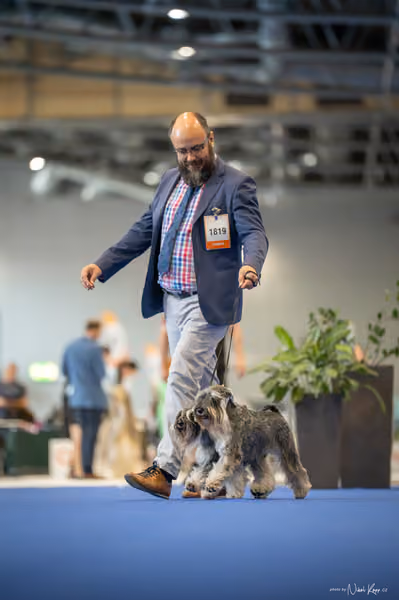 INTERCANIS Brno – PÁRY