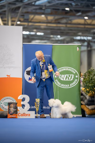 INTERCANIS Brno – PÁRY
