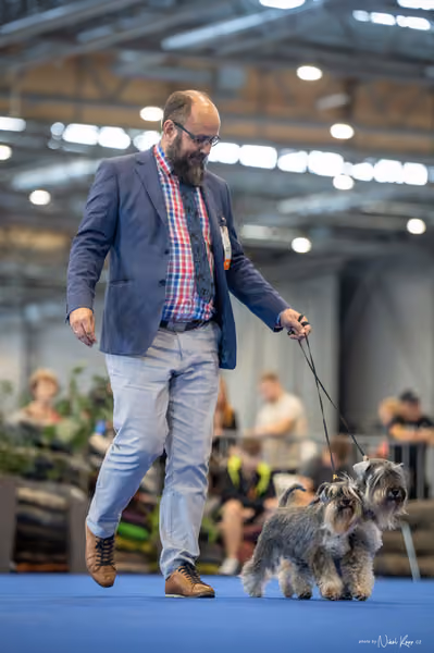 INTERCANIS Brno – PÁRY