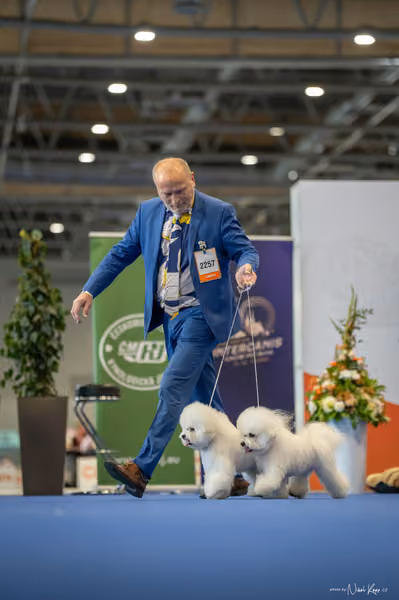 INTERCANIS Brno – PÁRY