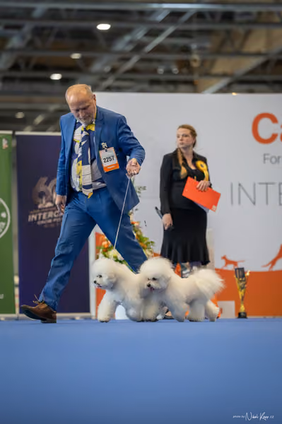 INTERCANIS Brno – PÁRY