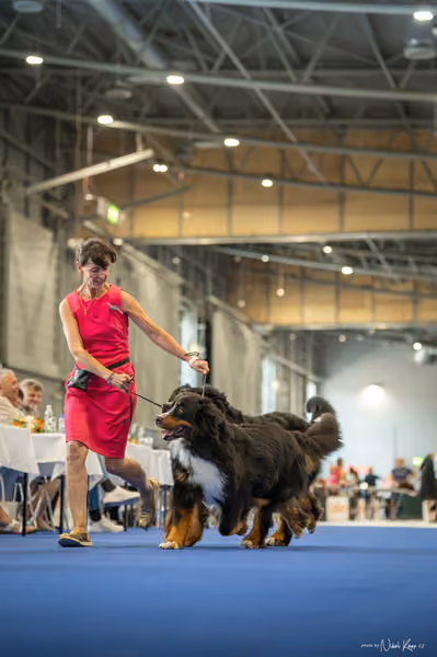 INTERCANIS Brno – PÁRY