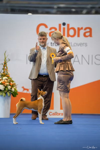 INTERCANIS Brno – BIS JUNIOR