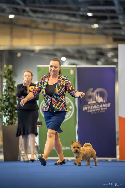 INTERCANIS Brno – BIS JUNIOR