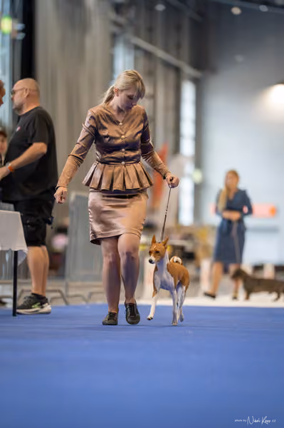 INTERCANIS Brno – BIS JUNIOR