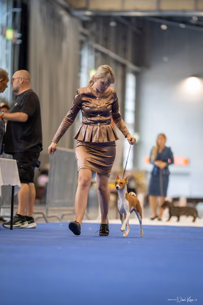 INTERCANIS Brno – BIS JUNIOR