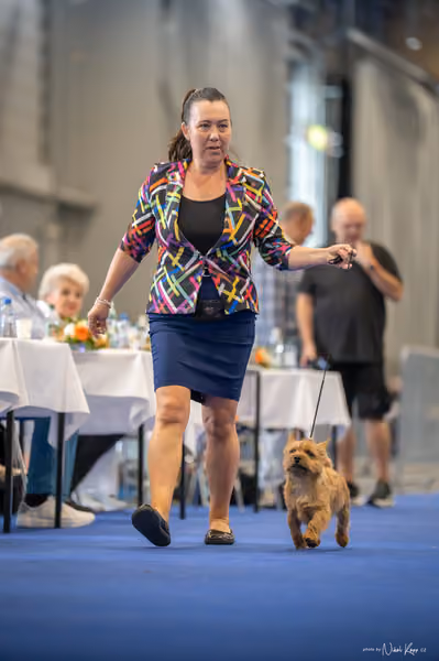 INTERCANIS Brno – BIS JUNIOR