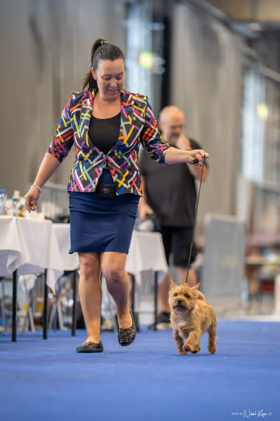 INTERCANIS Brno – BIS JUNIOR