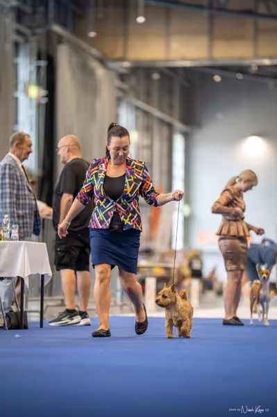 INTERCANIS Brno – BIS JUNIOR
