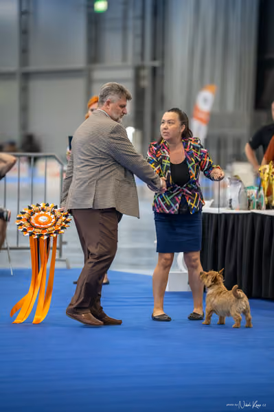 INTERCANIS Brno – BIS JUNIOR