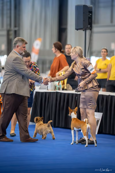 INTERCANIS Brno – BIS JUNIOR
