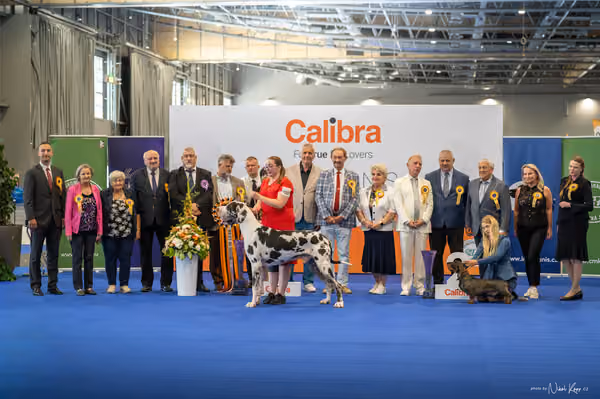 INTERCANIS Brno – BIS